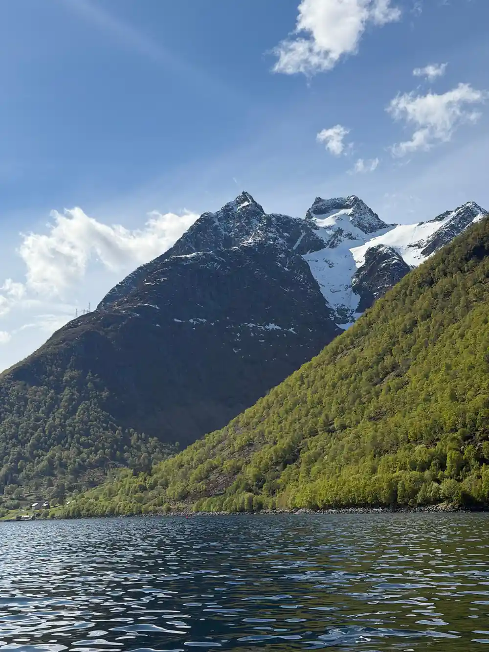 A glacier-topped peak above a wooded fjord shore