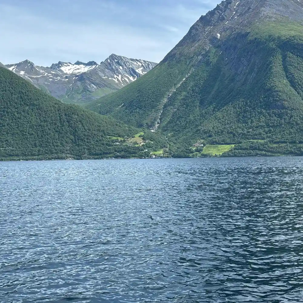 A green mountainside above the fjord with snow behind