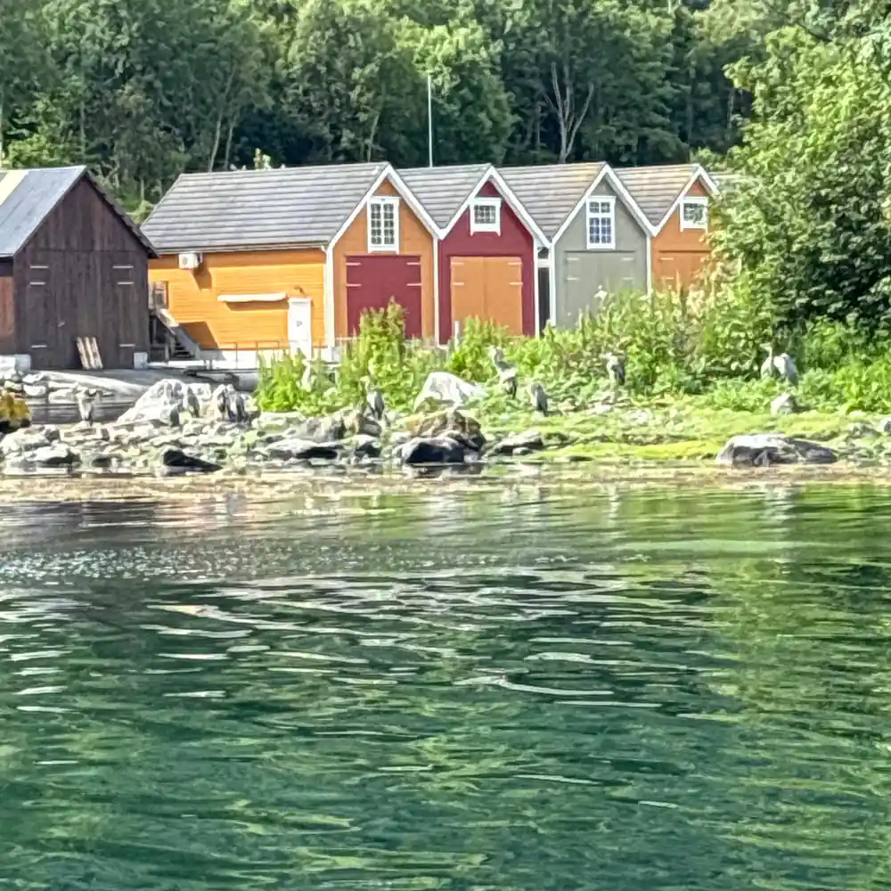 Red and white boathouses along a wooded shoreline