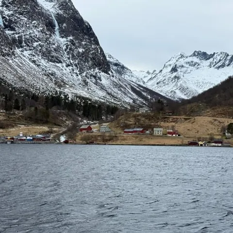 Farms along the shore on the way to Sæbø