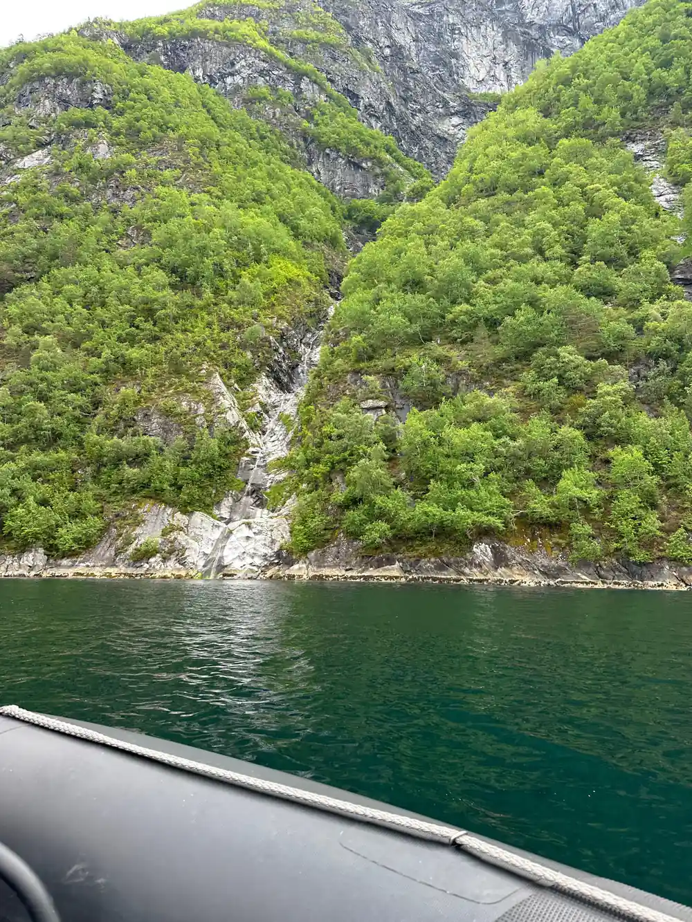 Steep green hillside dropping straight into deep green water