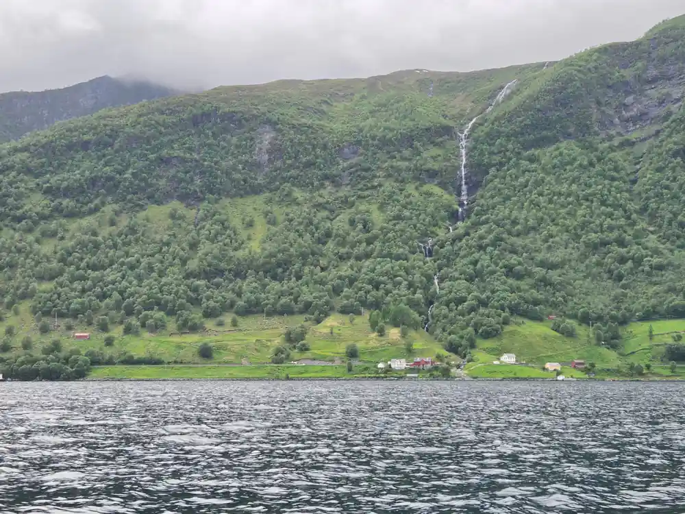 A wooded mountainside with a waterfall above the fjord